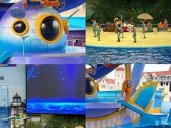 -海合安天津极地海洋公园