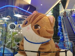 -擂饭(MOMOPARK店)