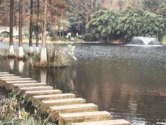 -重庆彩云湖湿地公园