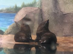 -福州罗源湾海洋世界旅游区