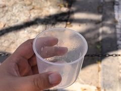 -洪馨椰子