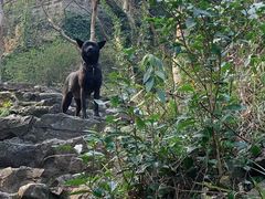 -宁波五龙潭景区