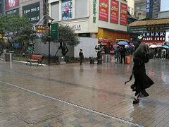 -正新鸡排(金进店)