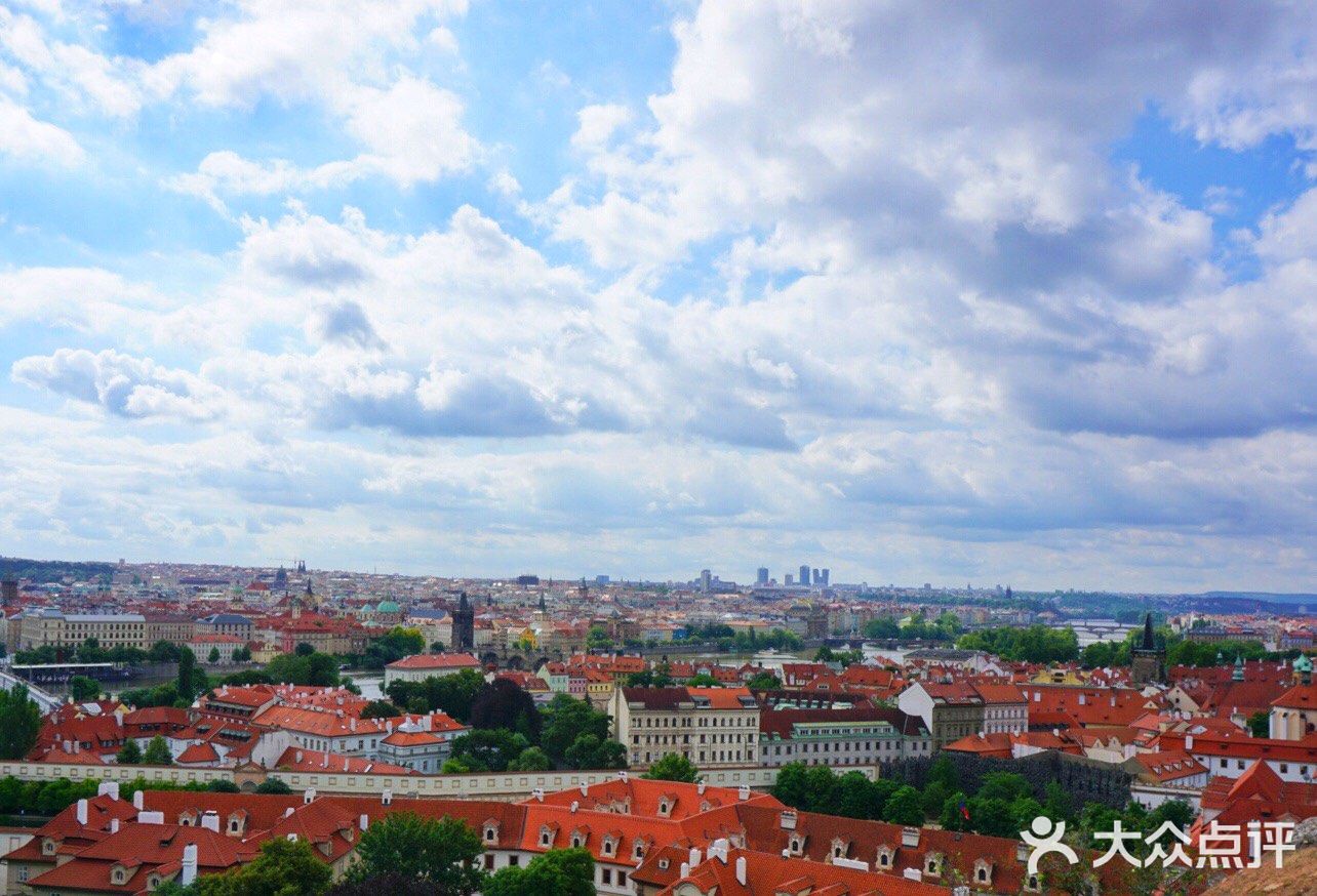三两只洁白和平鸽悠哉地觅食