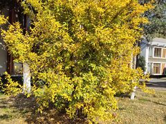 -苏体天云湖运动度假村