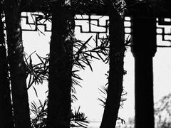 -慈城古县城景区