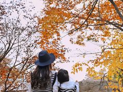 -崂山巨峰游览区