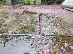 -苏州冶园园林民宿(太湖西山风景区店)