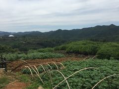 -磐安舞龙峡景区