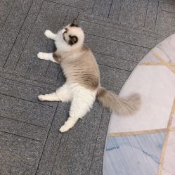 -元一肌肤管理中心