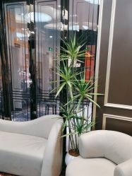 -八佰伴8008星级形象店