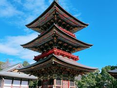 -成田山新胜寺
