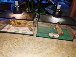 -酷嗒动物文化乐园(cutezoo西溪乐天城店)