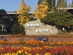 -北京奥林匹克公园