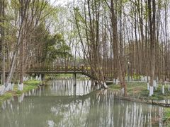 -桤木河湿地公园