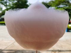 -史努比缤纷世界
