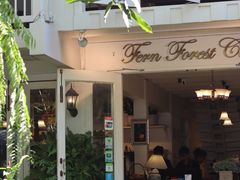 -Fern Forest Cafe