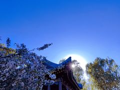 -海棠花溪(元大都城垣遗址公园)