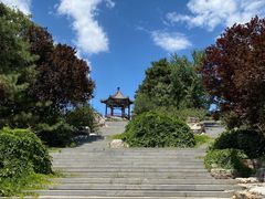 -大兴滨河森林公园