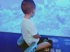 -成都浩海立方海洋公园