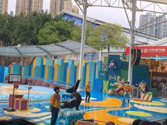-海合安成都极地海洋公园