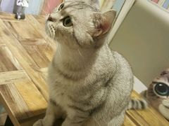 -小时光咖啡馆(开森度假森林店)