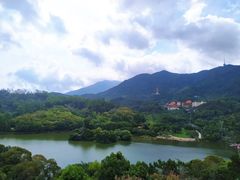 -深圳仙湖植物园