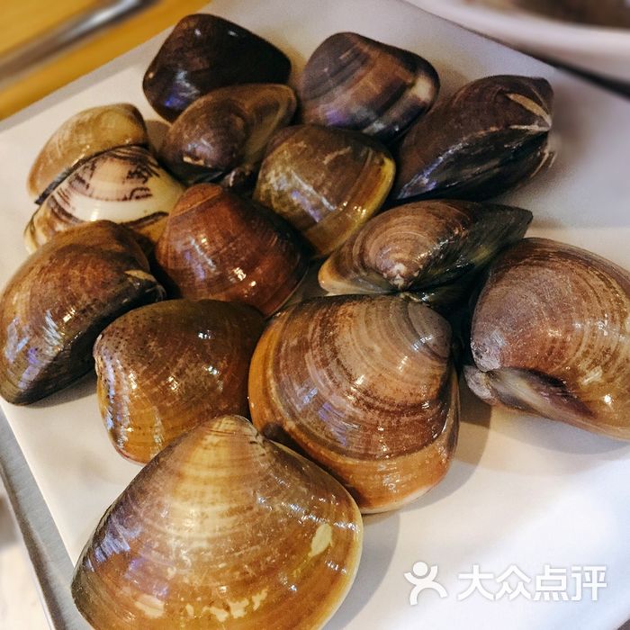 越百海海鲜蒸锅天鹅蛋螺/耳螺图片-北京海鲜-大众点评网