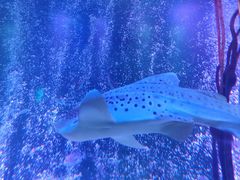 -沈阳海洋探索中心