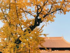 -苏州文庙(姑苏区)