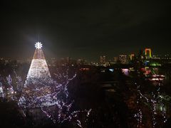 -台场海滨公园船码头