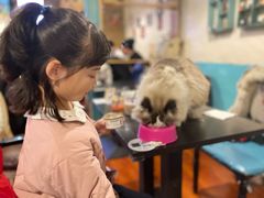 -猫小院猫主题咖啡厅(北锣店)