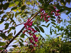 -山西乌金山旅游区