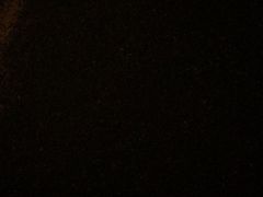 -九花山烤鸭店