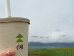 -新疆那拉提国家旅游度假区