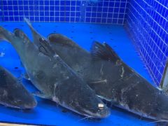 -香山湖渔家大院