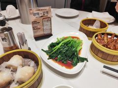 -东方早茶 海鲜•青岛菜(国信体育中心店)