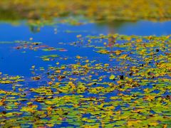 -北坞公园