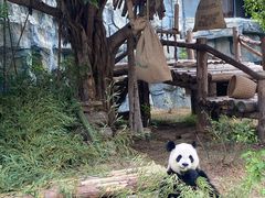 -泉州海丝野生动物世界