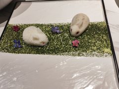 -月下料理(楷林IFC店)