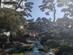 -罗红摄影艺术馆