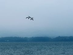 -赤水丹霞旅游区·佛光岩