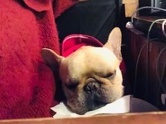 -威尔仕健身·游泳(龙湖天街店)