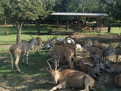 -西安秦岭野生动物园