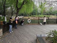 -玉山公园