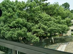 -花港海航度假酒店·中餐厅