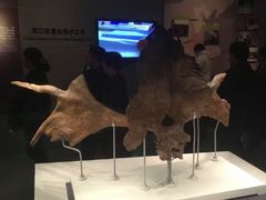 -北京周口店北京人遗址博物馆