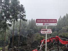 -梭布垭石林景区