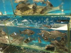 -物美综合超市(旧宫店)