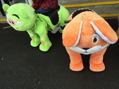 -上海长兴岛郊野公园